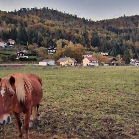 Le Vivaldi, Au Coeur Du Massif Vosgien Avec Terrain De Petanque Vila Rochesson Exterior foto