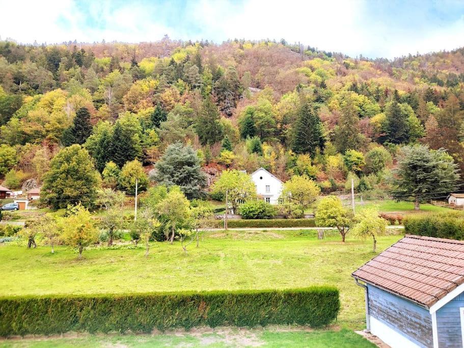 Le Vivaldi, Au Coeur Du Massif Vosgien Avec Terrain De Petanque Vila Rochesson Exterior foto