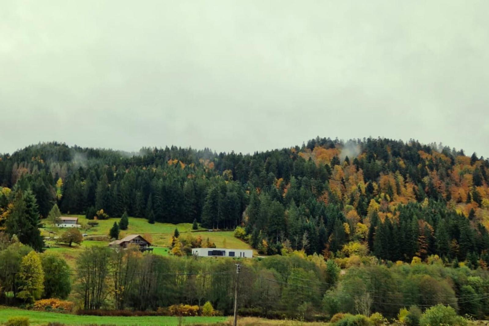 Le Vivaldi, Au Coeur Du Massif Vosgien Avec Terrain De Petanque Vila Rochesson Exterior foto